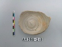 藏品(安平壺底部殘件)的圖片